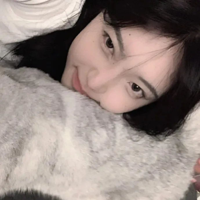 我的老板是小猪